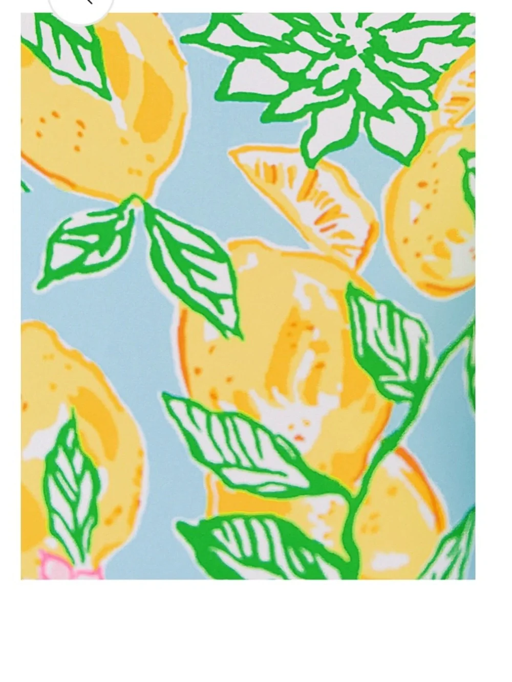 NWT Lilly Pulitzer DENNING RASHGUARD UPF 50÷ BLUETTE MAKE LEMONADE